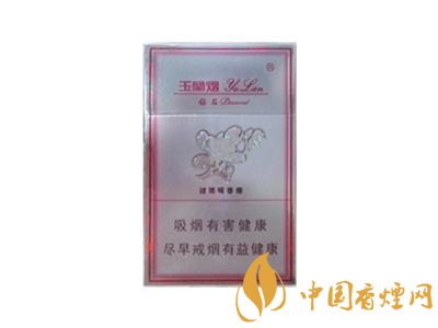 雨花石香烟批发价格揭秘，品质与实惠的完美结合